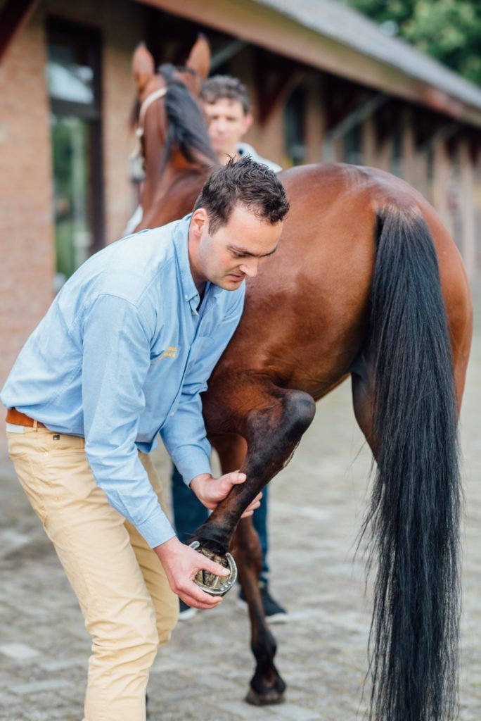 Klinisch onderzoek bij een kreupel paard