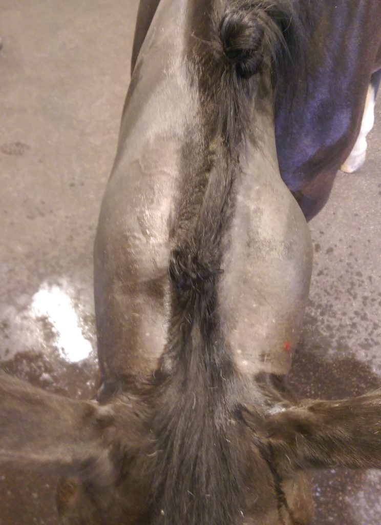 Zwelling van de slijmbeurs